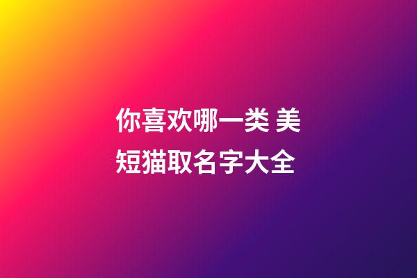 你喜欢哪一类 美短猫取名字大全